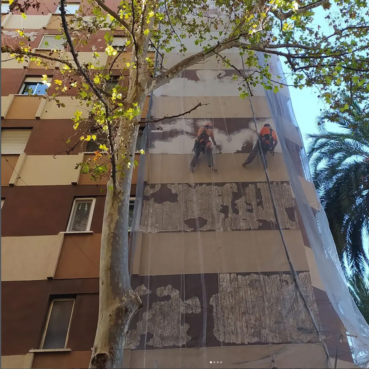 Trabajos verticales Fotos antes y después