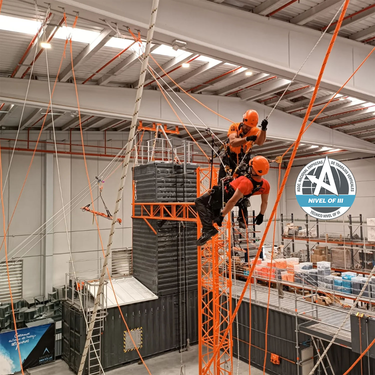 Certificado ANETVA Nivel of III